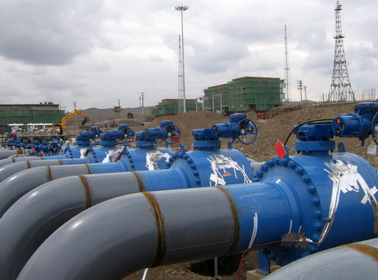 儀表防凍、導壓管防凍(防爆電伴熱)